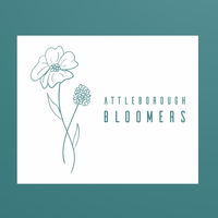 Attleborough Bloomers